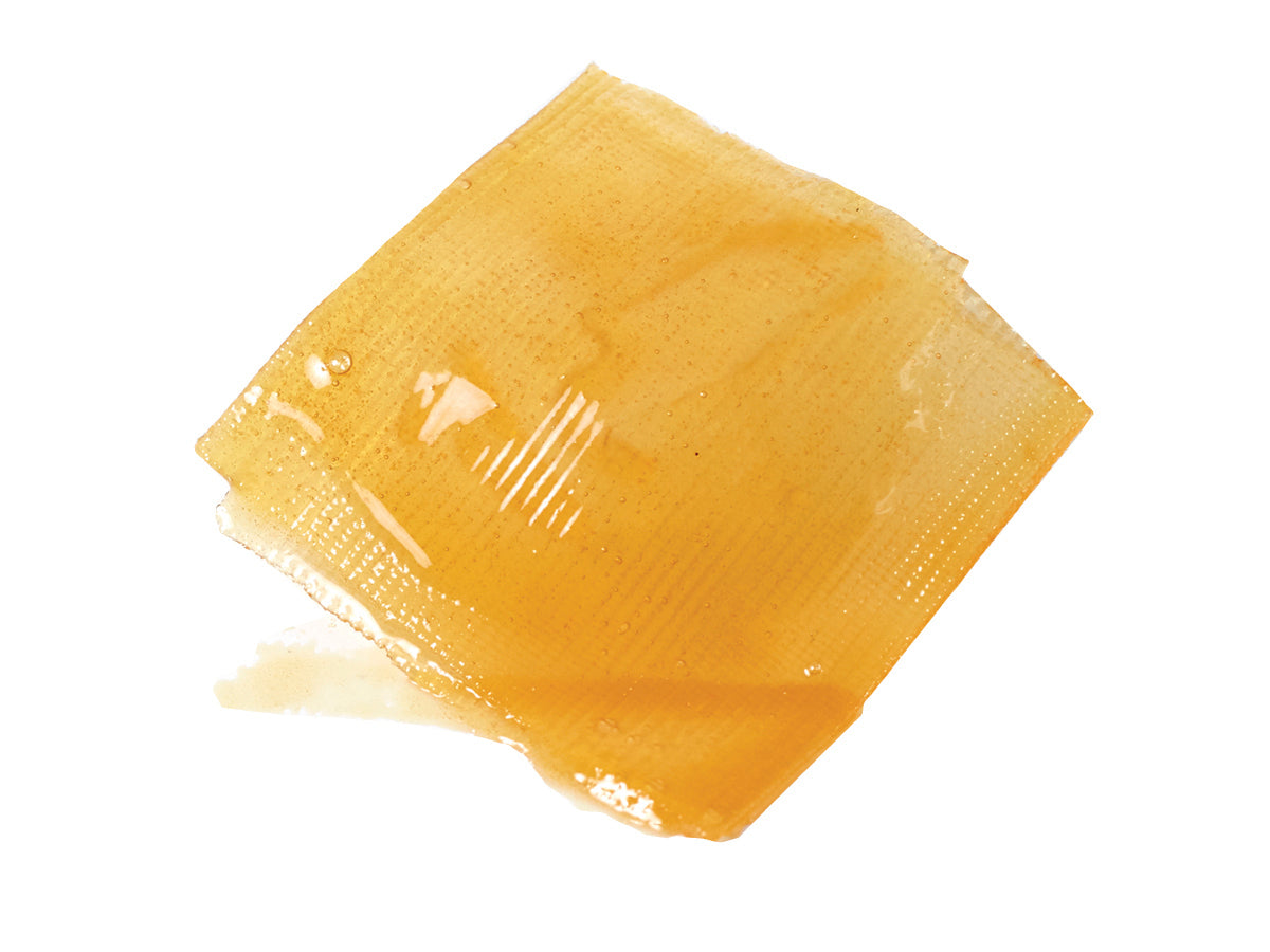 Activon Tulle Honey Dressing