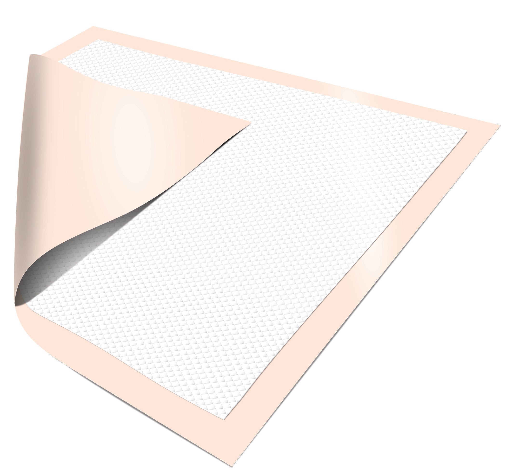 Dignity® Plus (formerly Dignity® UltraShield Plus)