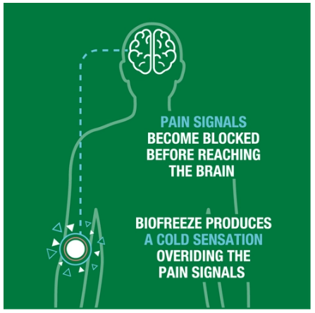 Biofreeze® Overnight Patch, 4 ct